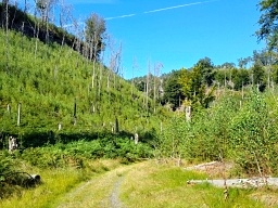 Hiking path
